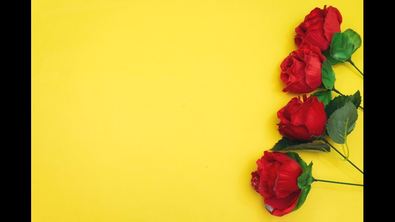 A yellow background, with four red roses to the right of the screen.