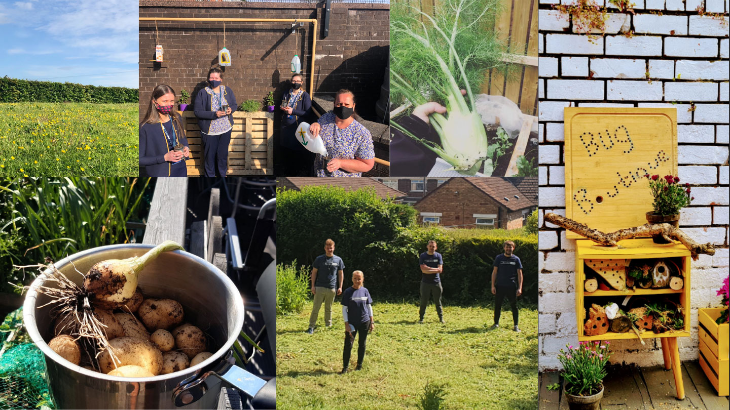 A collage of 6 images all showing different sustainability or eco-friendly projects. Left-Right, there is: a wildflower garden; four Danske staff out in a mini urban garden; a fennel, freshly harvested from a vegetable garden, a yellow bug boutique with various layers of biodiversity for bugs, a pot of dirty, freshly dug potatoes and four colleages in a garden before turning it to a vegetable patch.