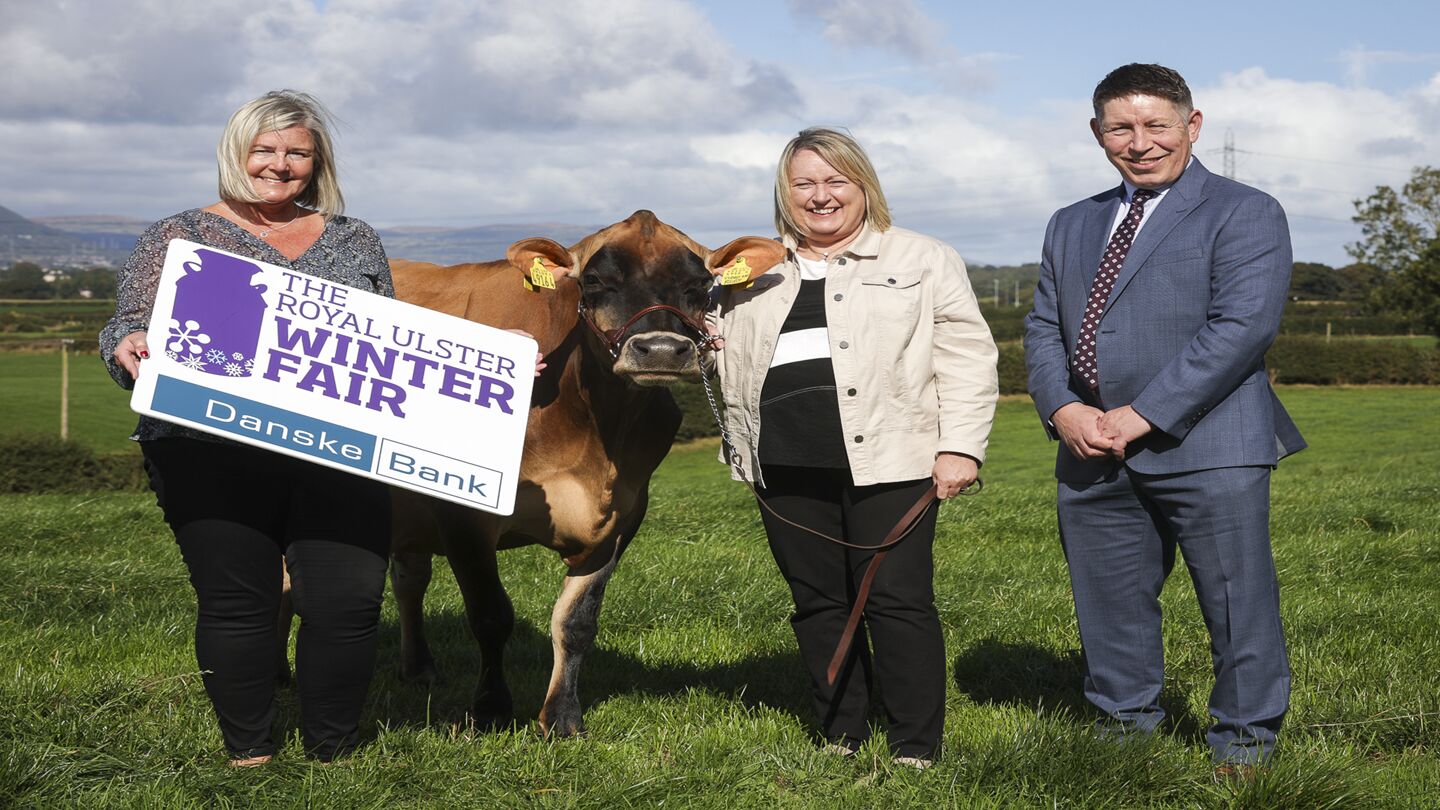 Three people and a gorgeous cow stand outside in a field. One is holding a sign with the Danske Bank Royal Ulster Winter Fair logo.