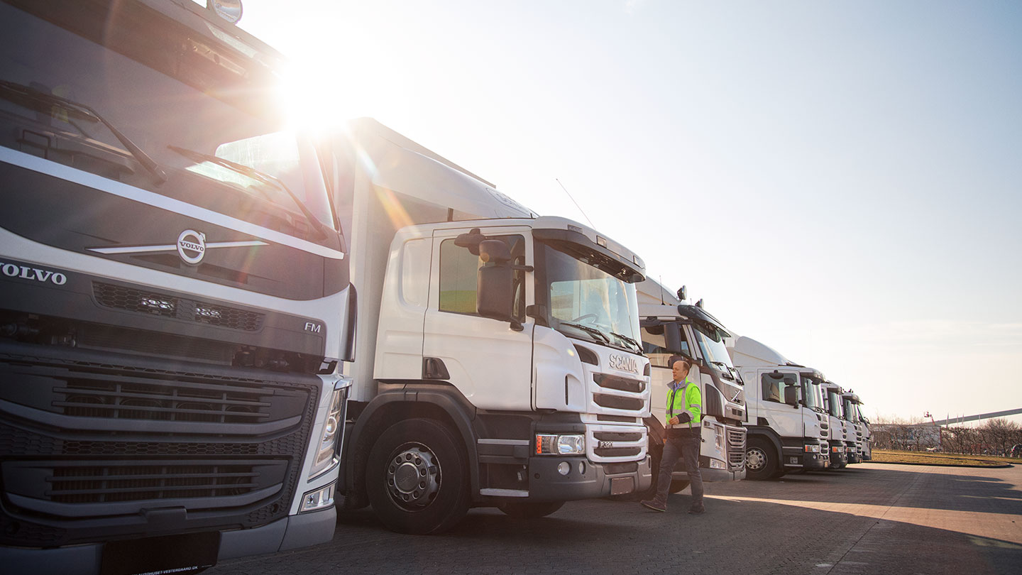 White lorries parked up in a line