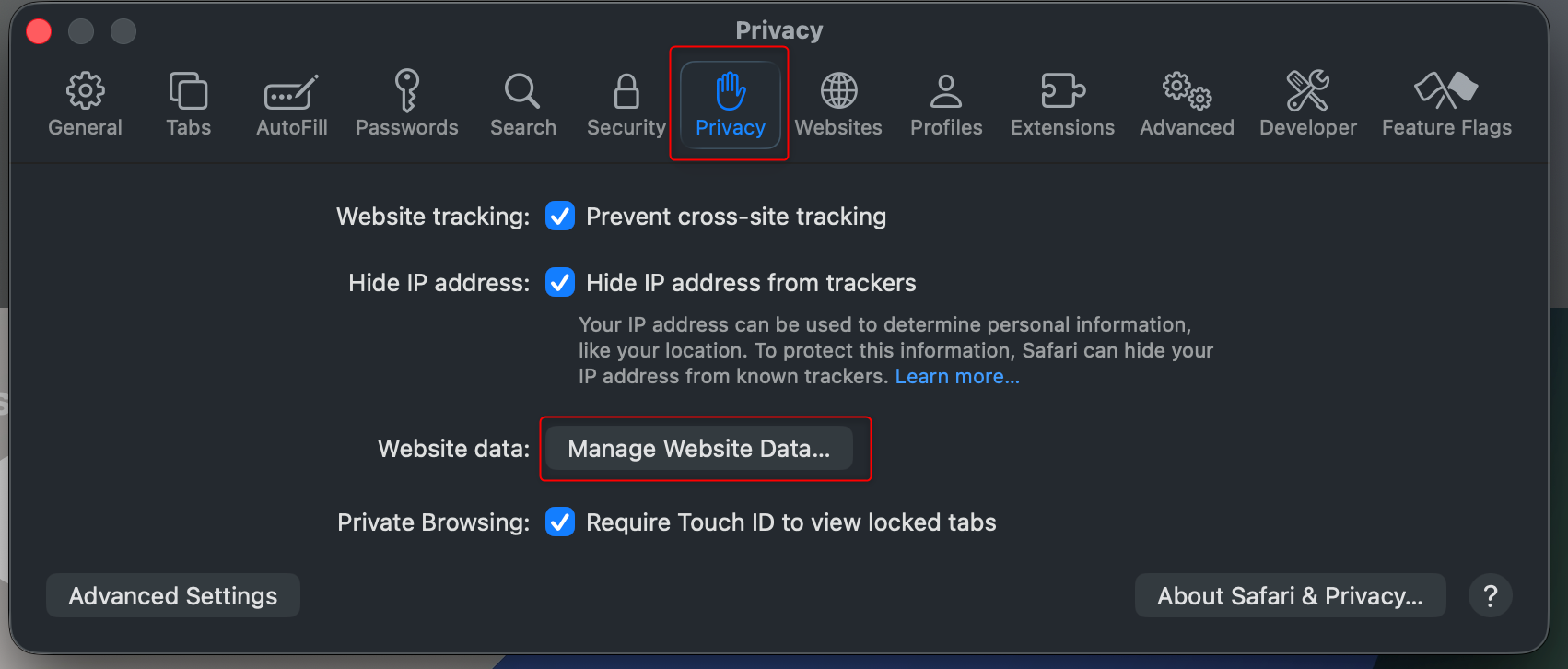 Safari browser clear recent history privacy manage website data